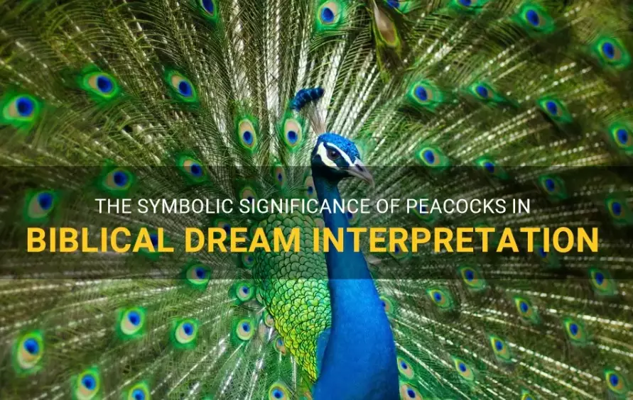 Spiritual Meaning of a Peacock in Dreams: Symbolism & Interpretation