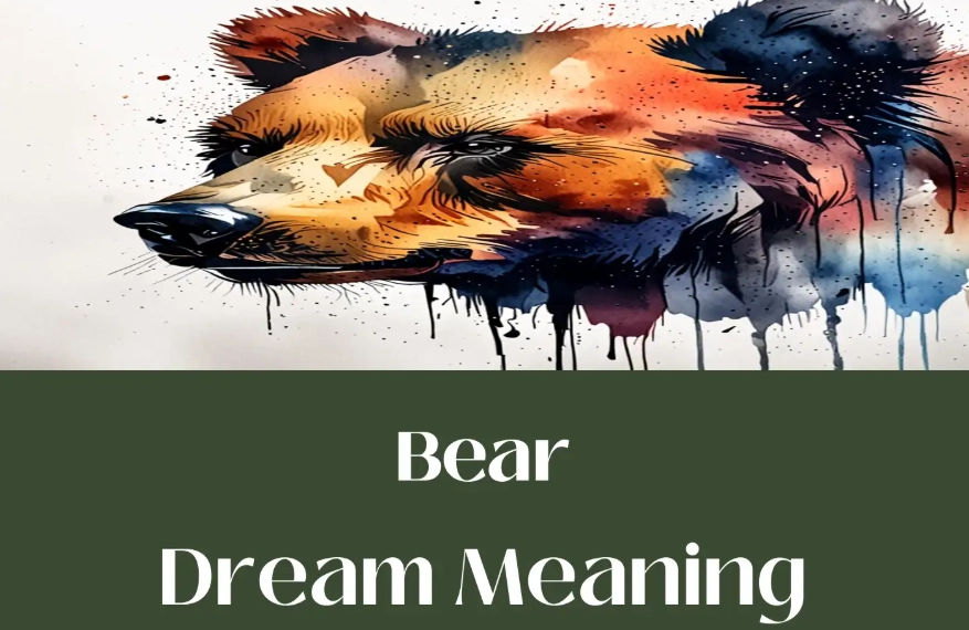 dreaming of a bear