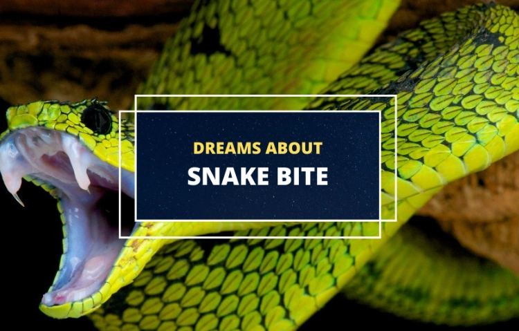 What Does a Snake Bite Dream Mean? A Deep Dive into Symbolism & Interpretation