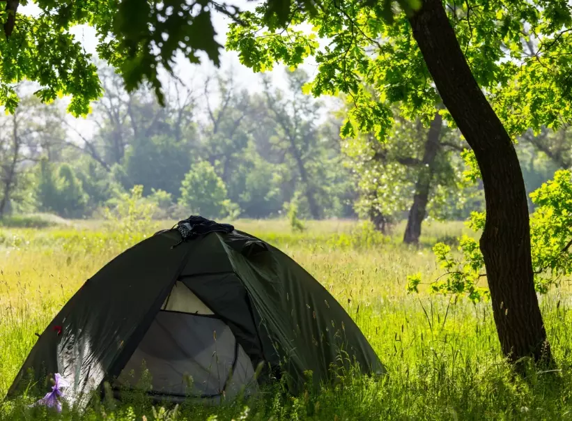 family tent reviews