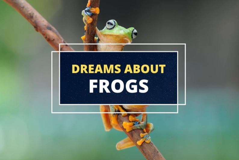 dream about a frog meaning