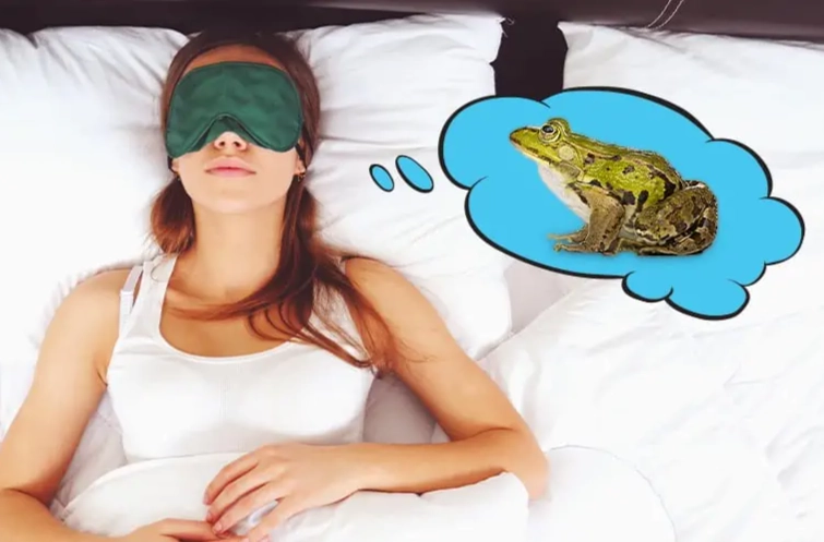 Dream About a Frog: Spiritual Meaning, Psychology & Common Interpretations