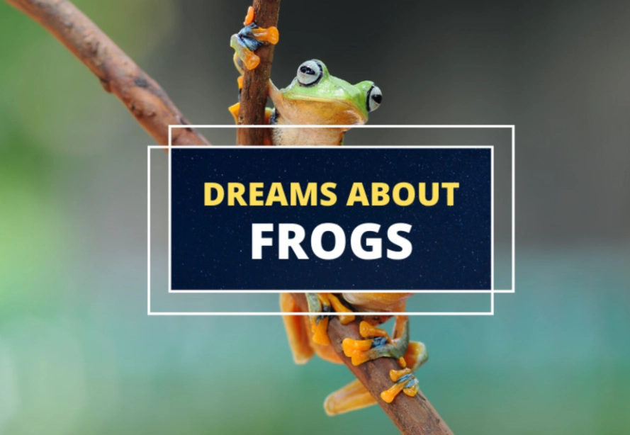 What Does It Mean to Dream of Frogs? A Complete Guide