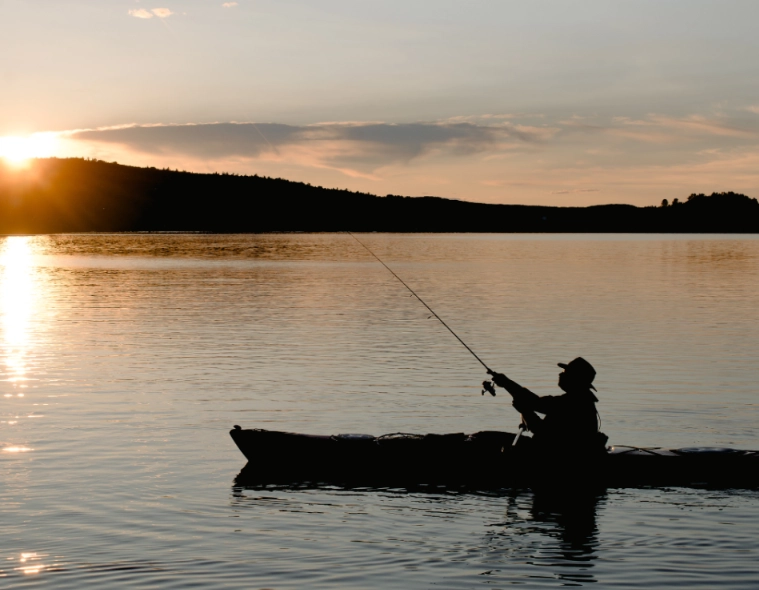 dreaming fishing