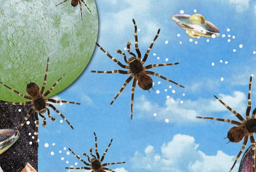 Dream Spider Meaning Unveiled: A Deep Dive into Symbolism & Psychology