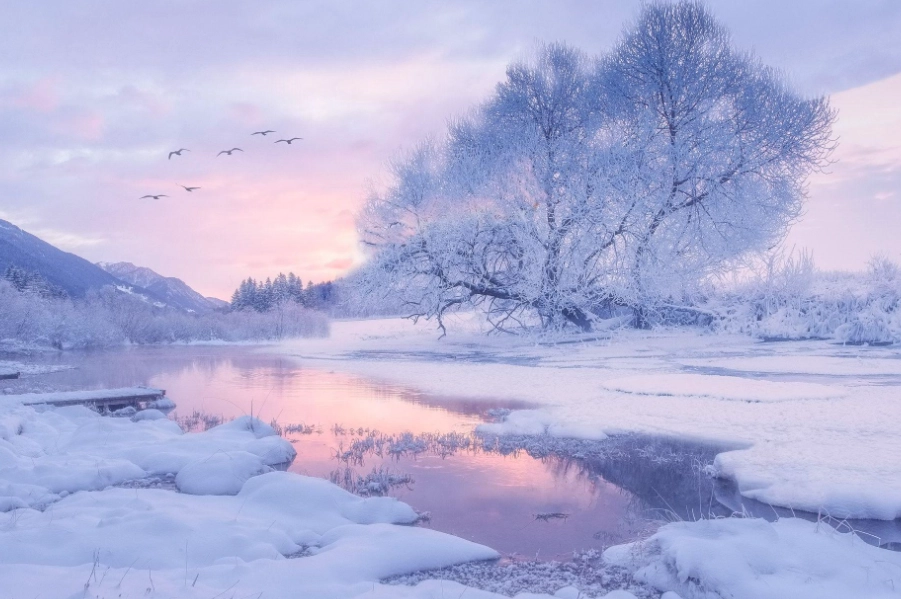 snow dream interpretation