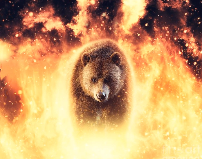 bear attacking in dream meaning