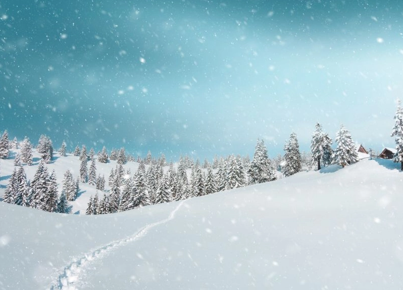 Dreaming of Snow: 12 Hidden Meanings and How to Decode Them