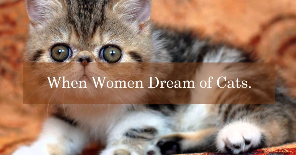 common cat dream scenarios