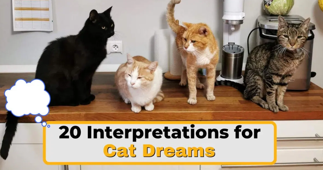 spiritual meaning cat dream