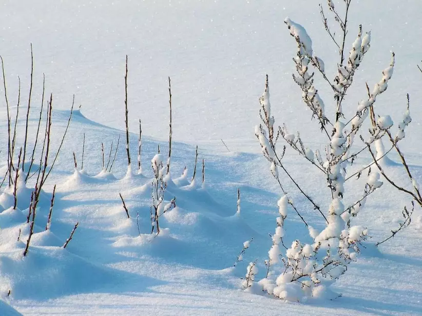 snow dream meaning