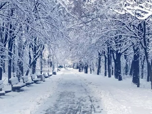 what does snow symbolize in dreams