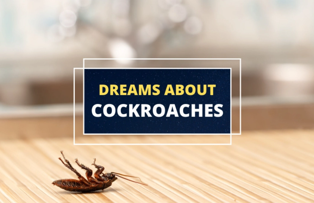 Cockroach Dream Meaning: Decode Your Subconscious Fears