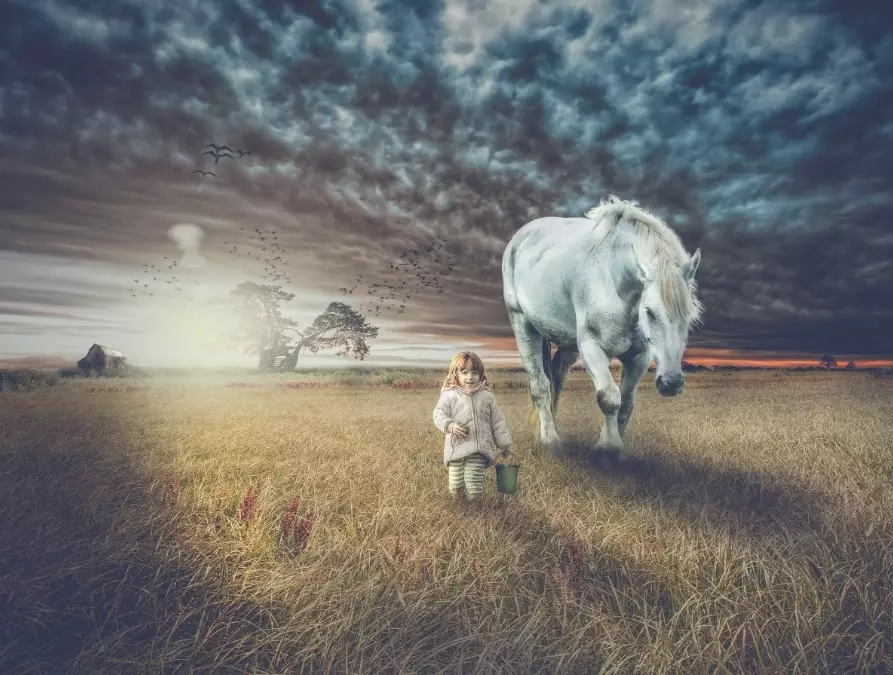 dreaming of horses