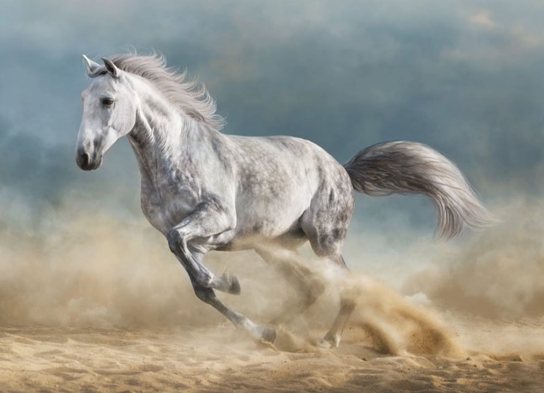 spiritual meaning of horses in dreams