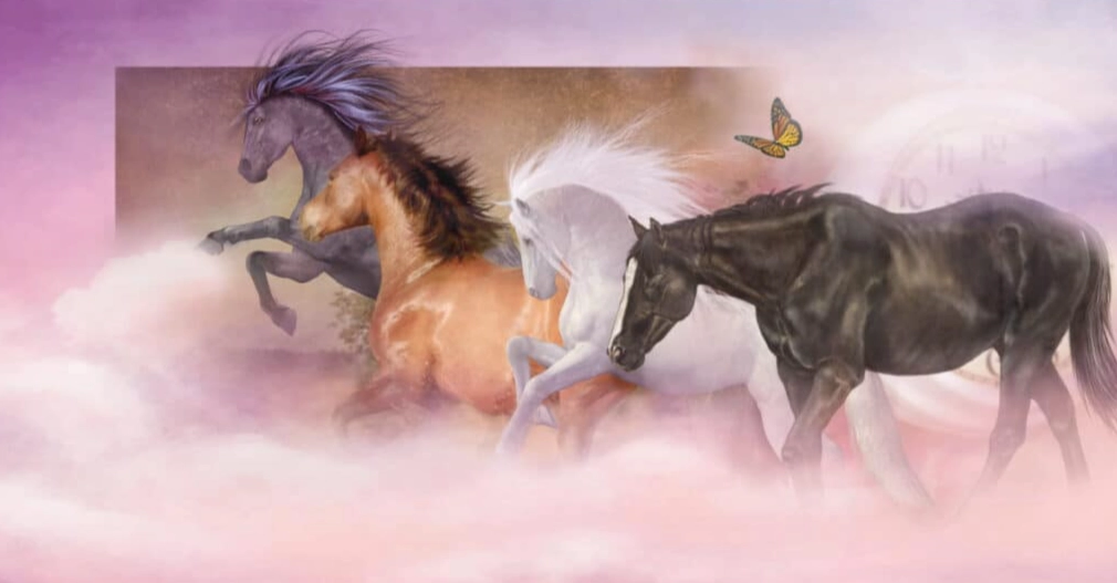 dreaming of horses