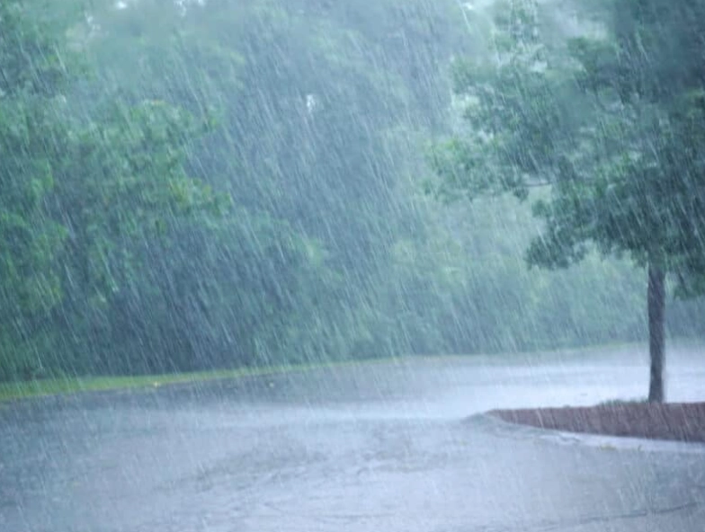 Dreaming About Rain: A Complete Guide to Meanings and Messages
