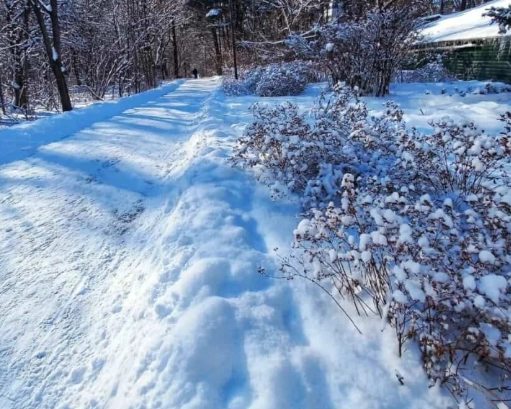 dream about snow meaning