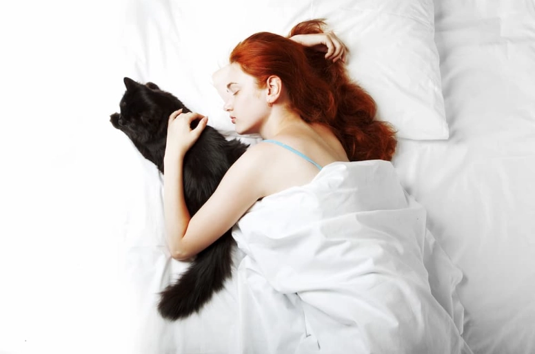 dream interpretation cat