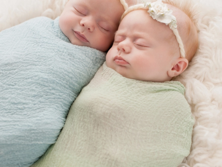 dream about twins meaning
