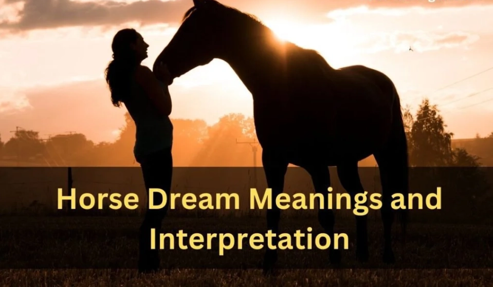 Dreaming of Horses: A Complete Guide to Symbolism and Meaning