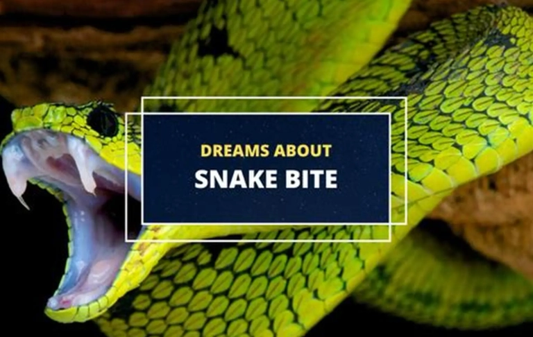 Snake Bite Dream Meaning: A Complete Interpretation Guide