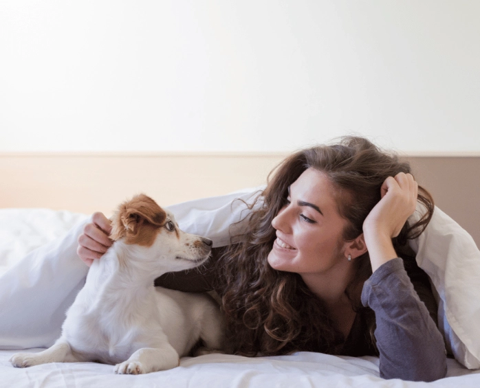 Dreaming About Dogs? A Complete Guide to Canine Dream Meanings