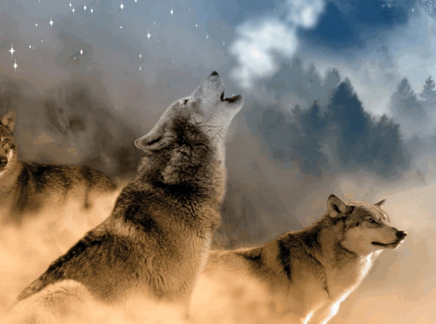Wolf Dream Meaning: Unpacking Wildness, Instincts & Your Shadow Self
