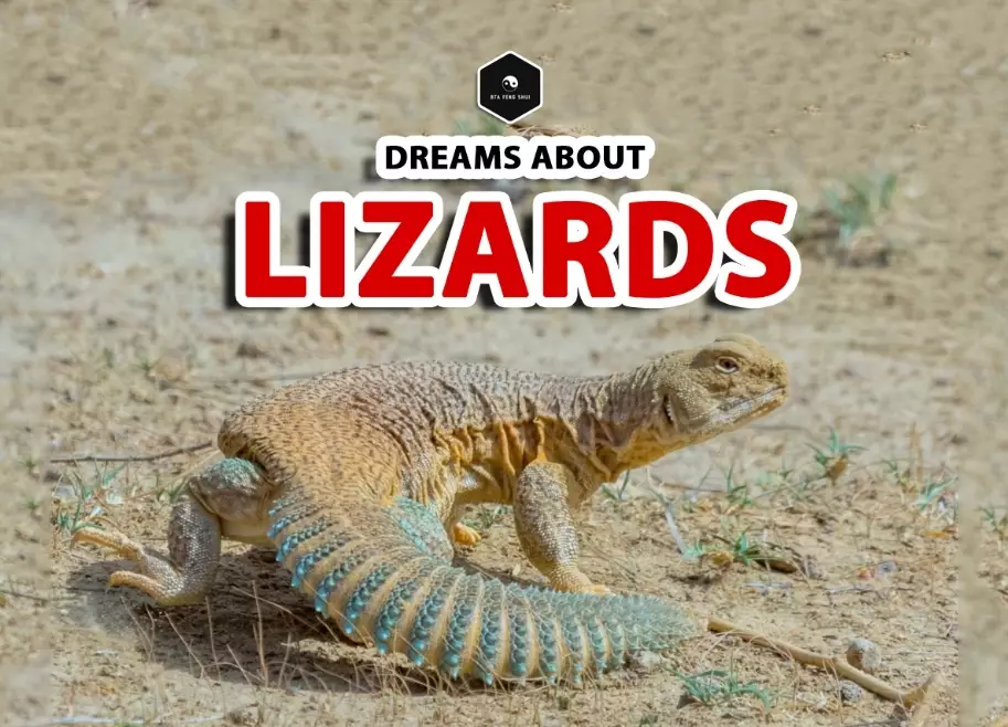 Lizard Dream Meaning: Decoding Symbolism & Spiritual Messages