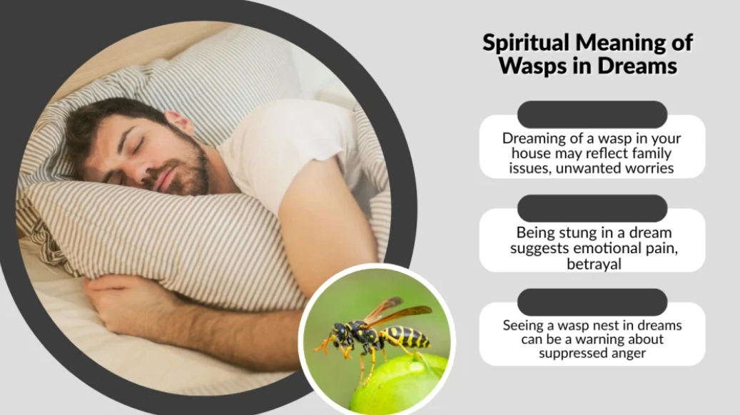 wasp sting dream interpretation