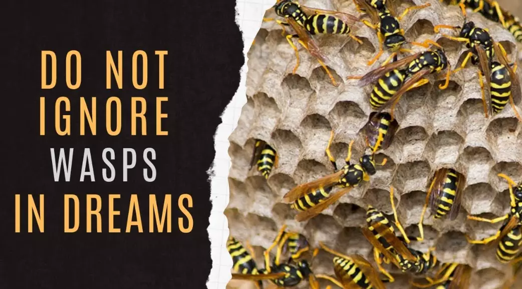 dreaming of wasps