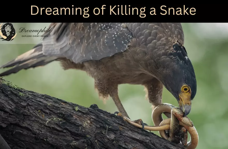 is killing a snake a good dream