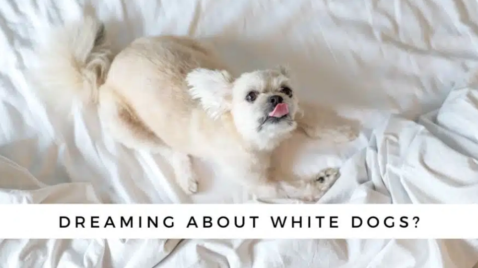 dream about puppies meaning