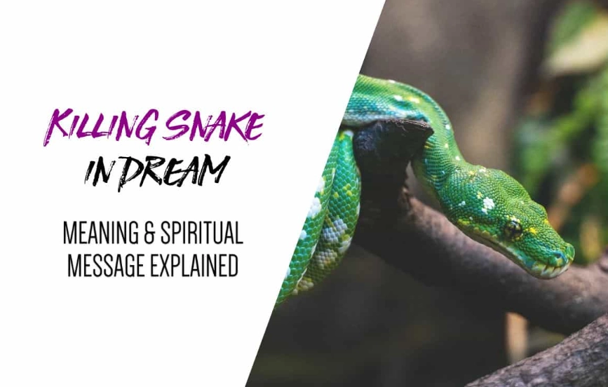 is killing a snake a good dream