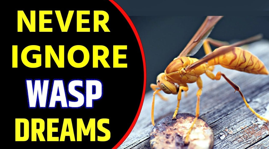wasp sting dream interpretation