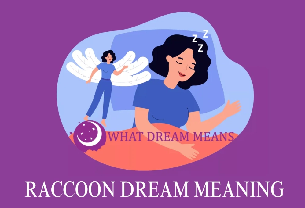 dream interpretation raccoon