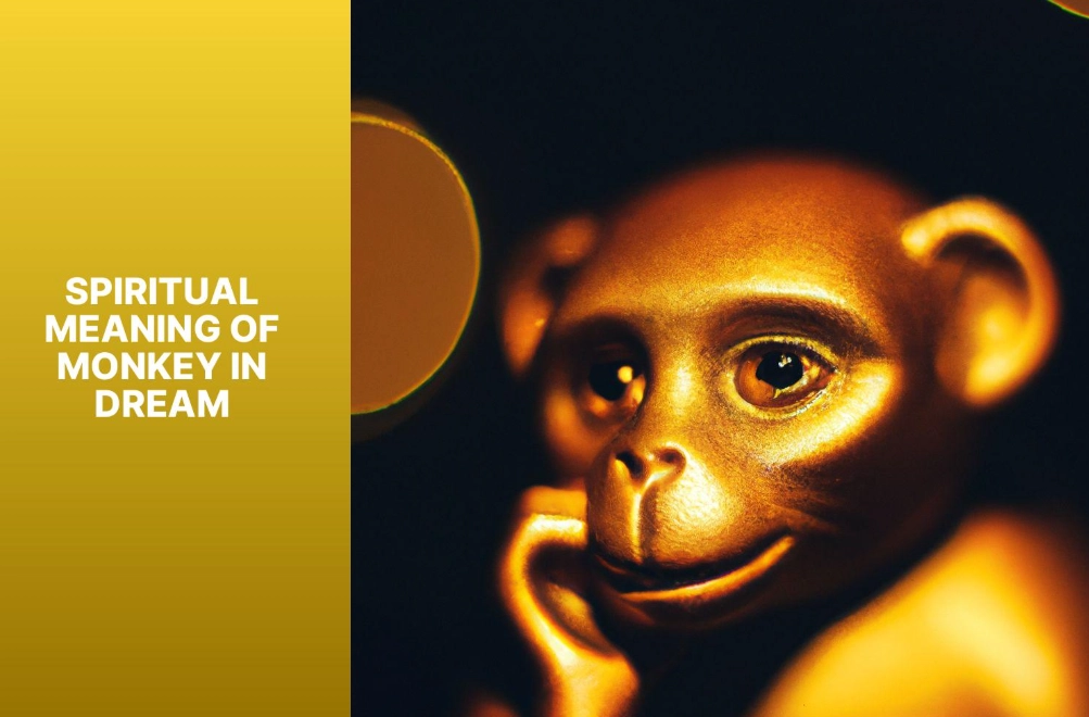 monkey dream meaning