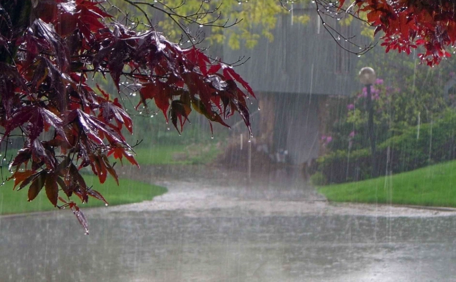 dreaming of heavy rain
