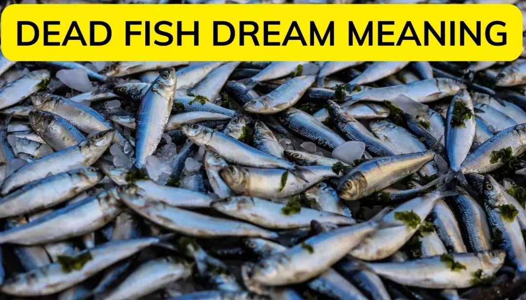 dying fish dream
