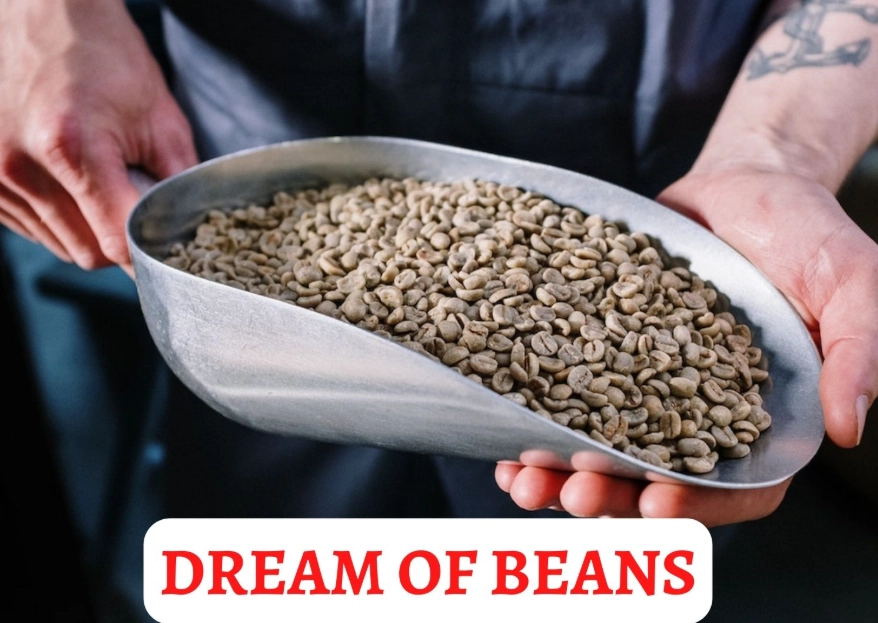 dreams about beans