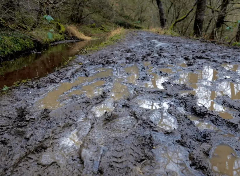 mud dream meaning